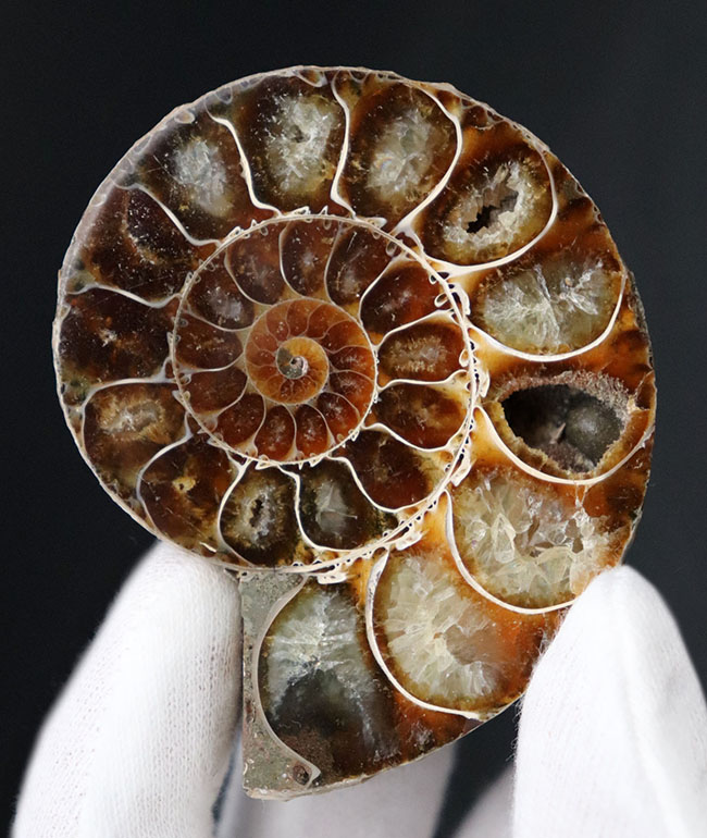 サイズ良し、状態も良い、そして、裏・表ともに良し。まさに厳選された