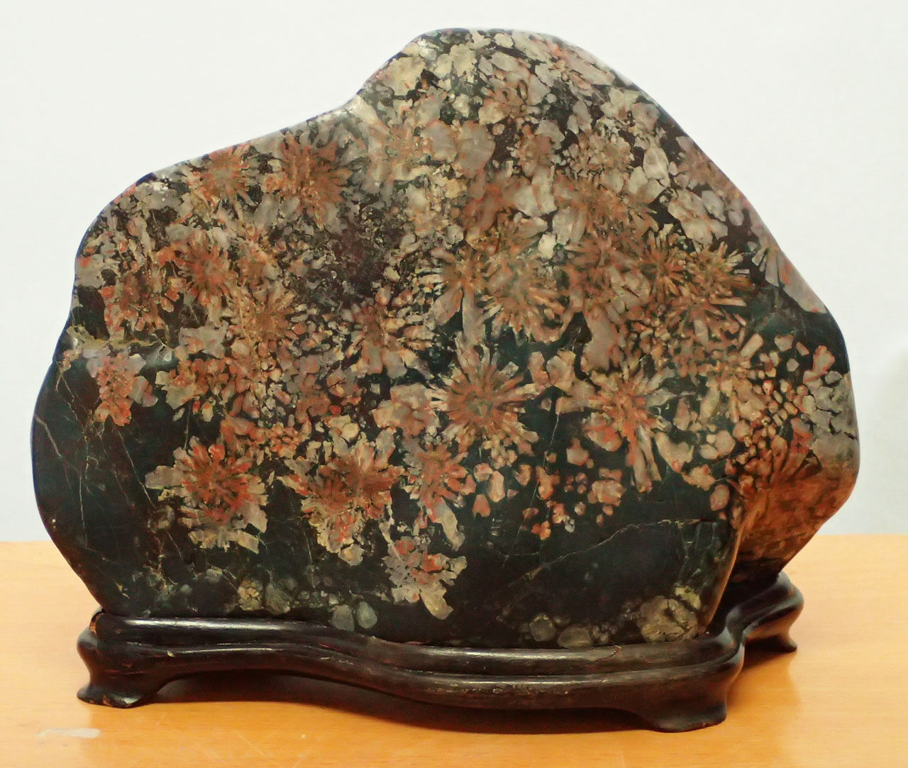 菊花石コレクション 石原コレクション 1