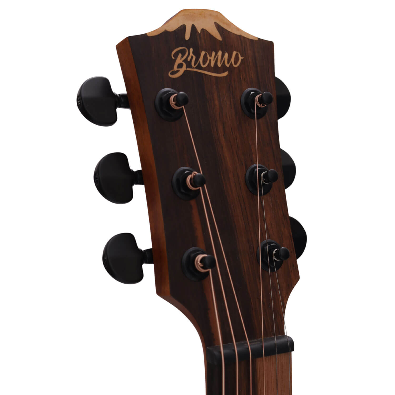 マホガニー単板トップ/ウォルナット・バック&サイド採用エレアコ