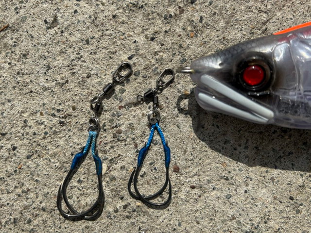 陸チューン】リューギ ヘッドショット アシストフック×ササメ パワー