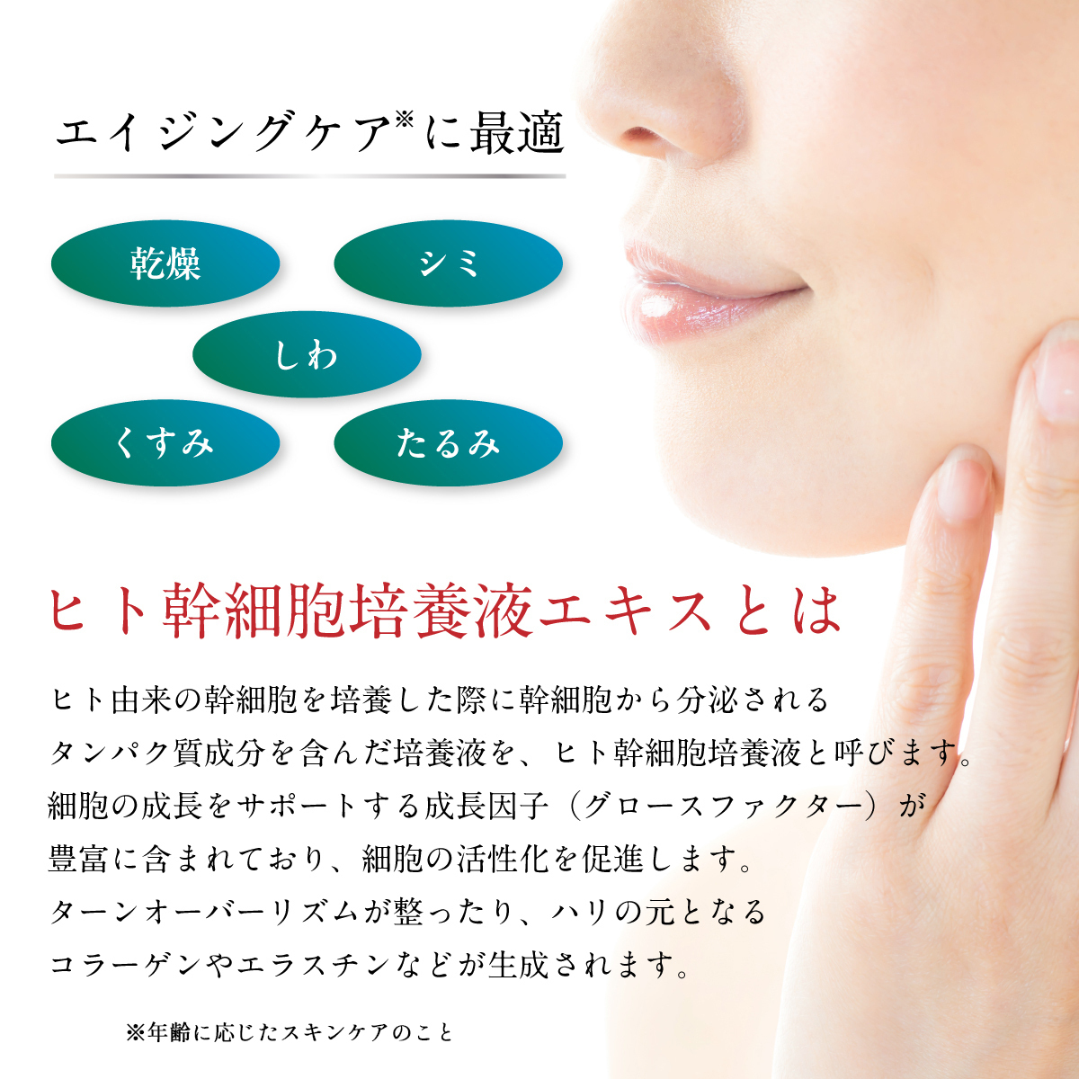 ヒト幹細胞 美容液 50ml 白金ナノ化 【送料無料】 / ことよりモール