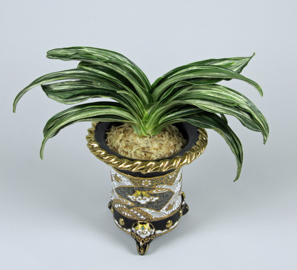 千代田の松 (ちよだのまつ) CChiyodanomatsu – おもとの豊明園（ほう