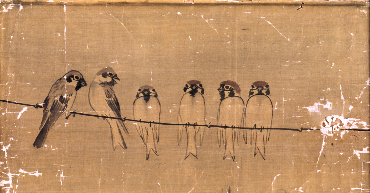 展示のみどころ