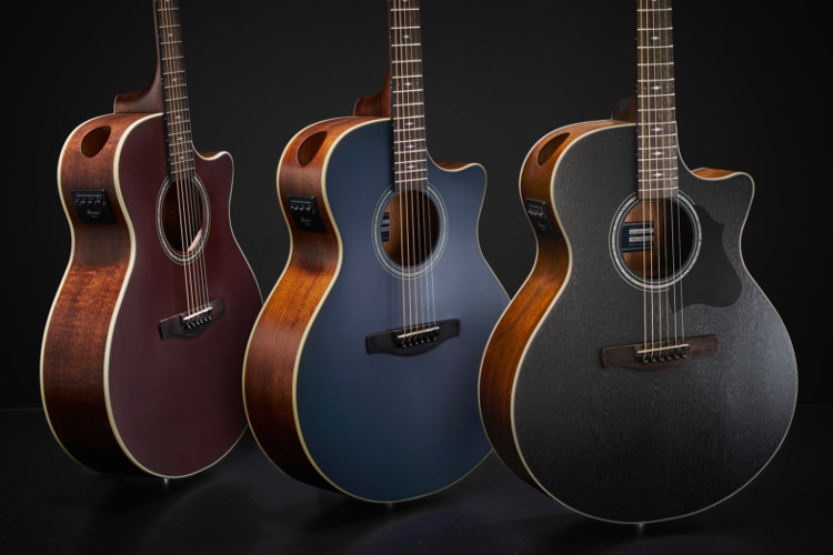 ACOUSTIC GUITARS | PRODUCTS | Ibanez guitars - アイバニーズ