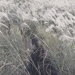 Sakurako Oidaira 生平 桜子｜IDEE SHOP Online