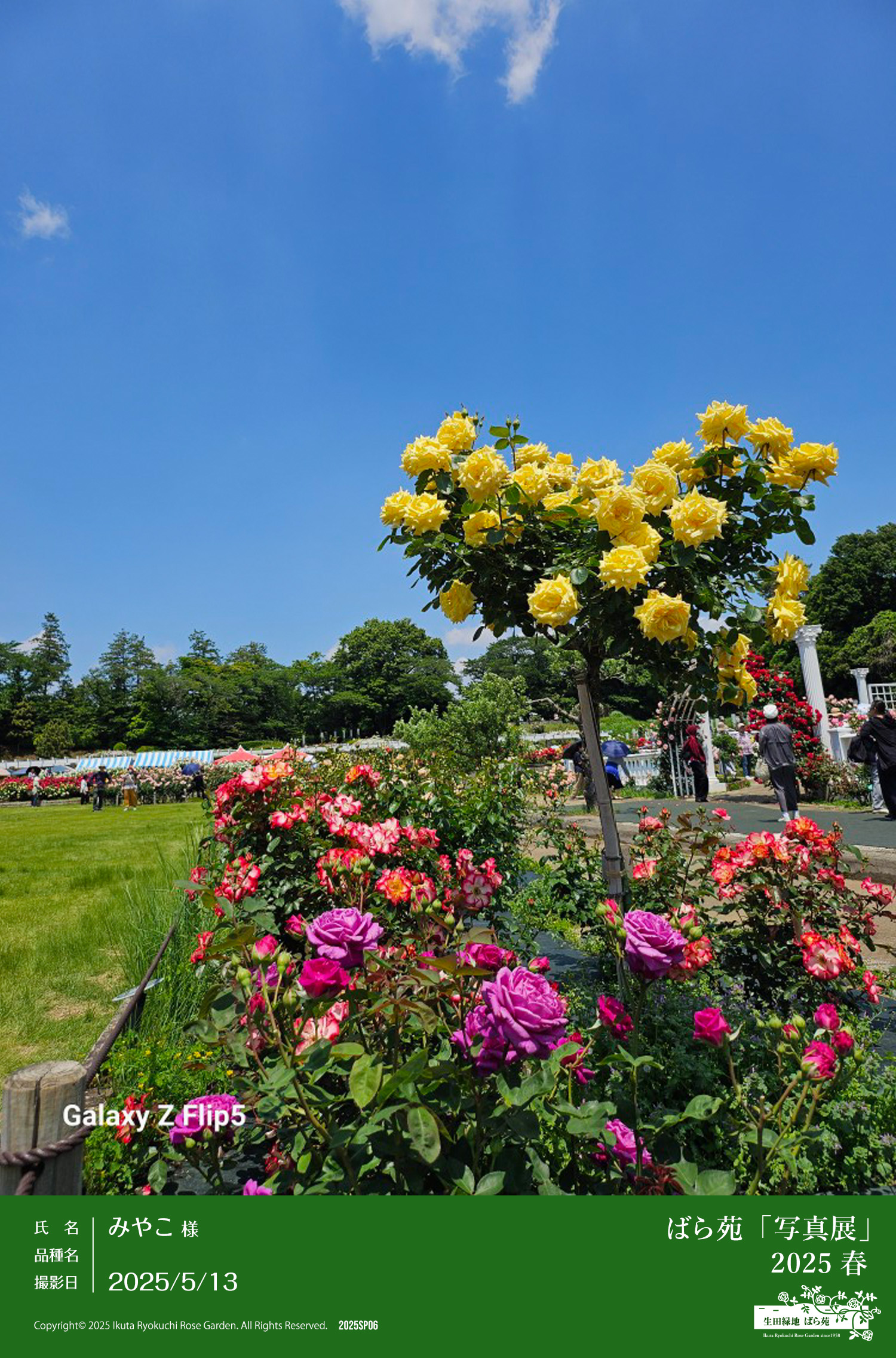 ばら苑「写真展」