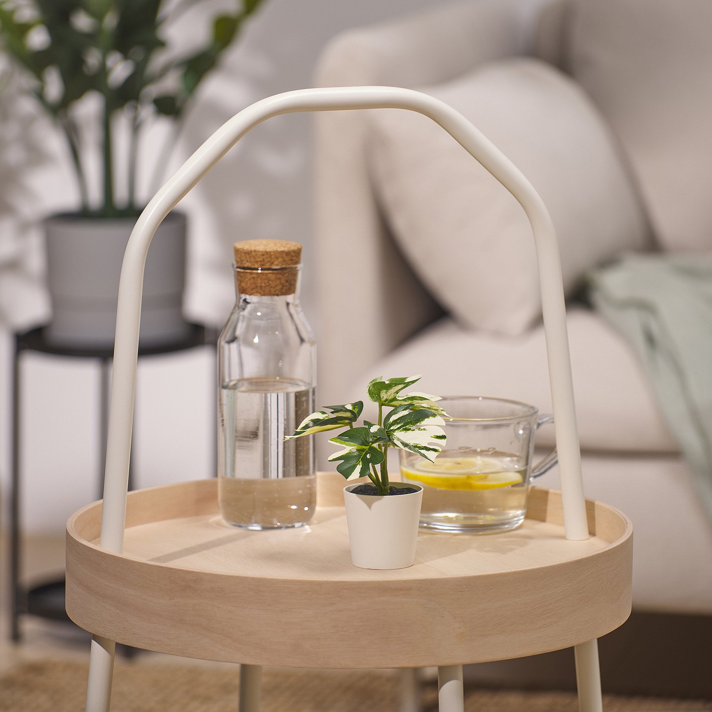 FEJKA フェイカ 人工観葉植物 鉢カバー付き, 室内/屋外用 モンステラ