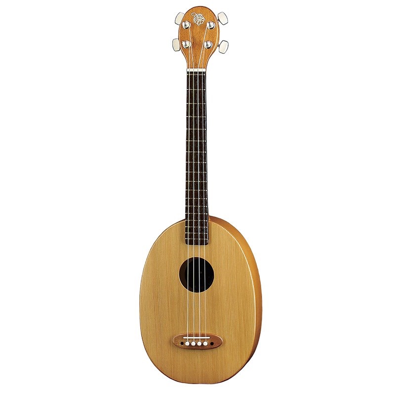 K.Yairi 一五一会 奏生 -かない- NT Kヤイリ 【お取り寄せ】 ｜イケベ