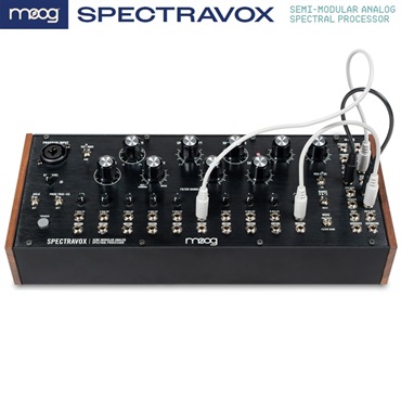 moog 【新楽器応援セール】モーグ Spectravox (SEMI-MODULAR ANALOG