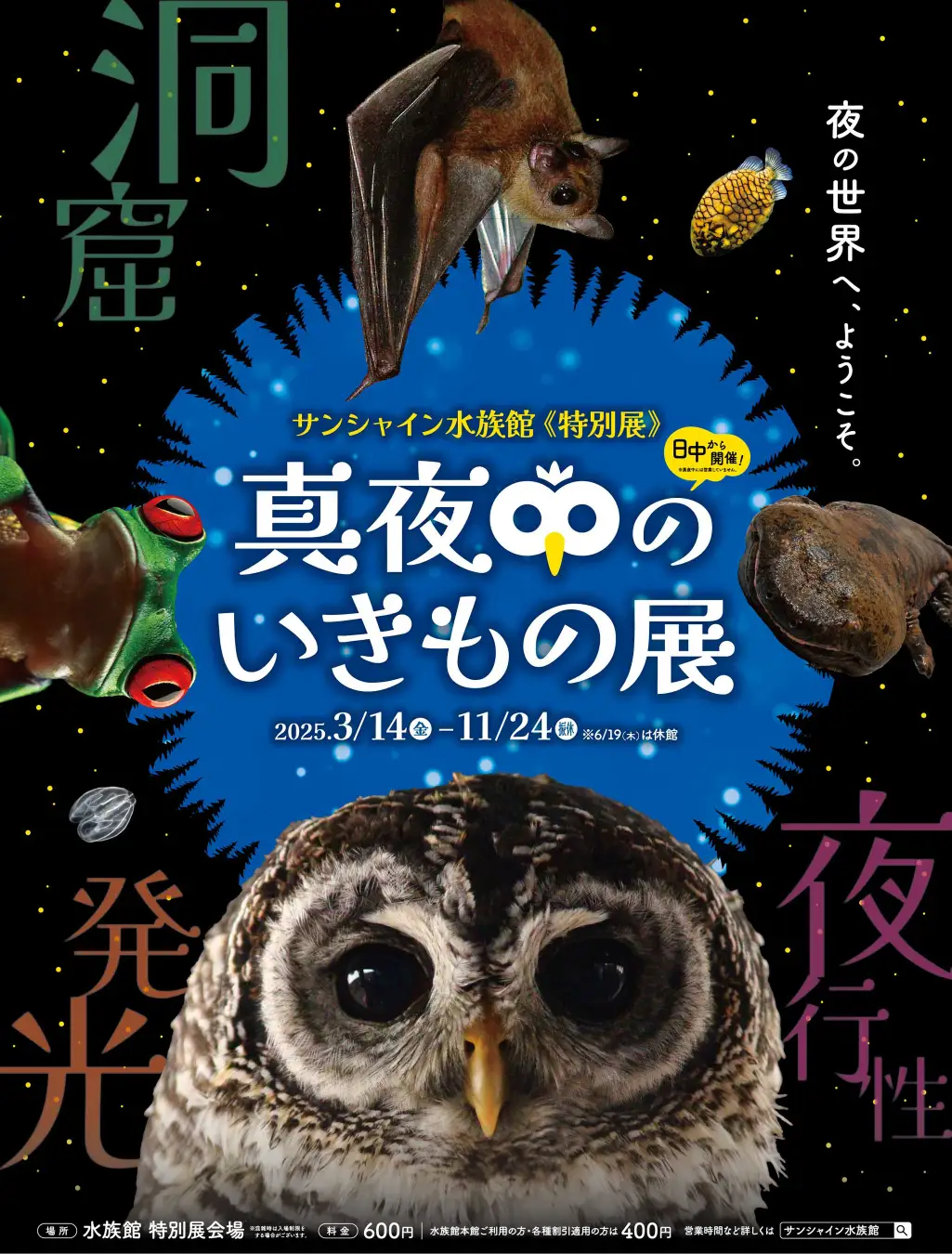 夜行性の生き物たちに出会える！サンシャイン水族館「真夜中のいきもの