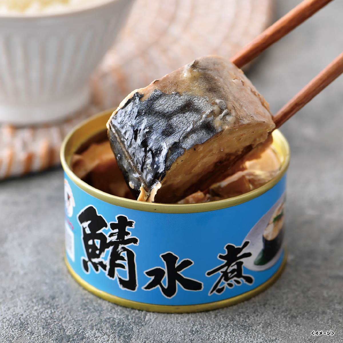 イワタニの公式オンラインショップ｜福井缶詰 鯖水煮缶詰セット SAB