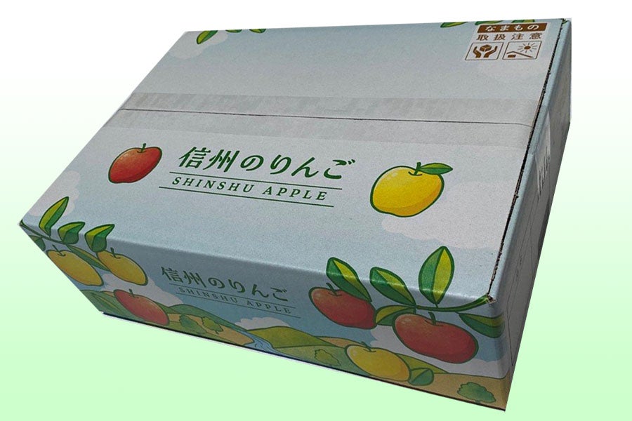 JAグリーン長野 サンふじ 秀 約3kg(9-12玉)【贈答箱】 11月17日-12月12