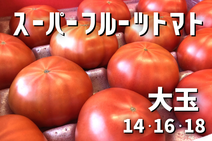 KEKのスーパーフルーツトマト (特大)【1日限定10箱】平均糖度9度以上