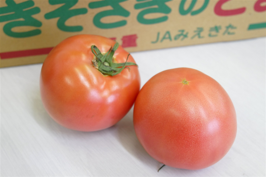 三重県産トマト（24～32玉） JAみえきた: 三重の味自慢|【JAタウン