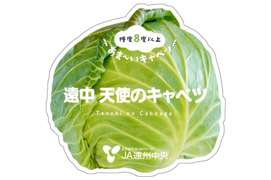 遠中 天使のキャベツ 8玉｜高糖度キャベツ 静岡県産: 遠州中央どっさり