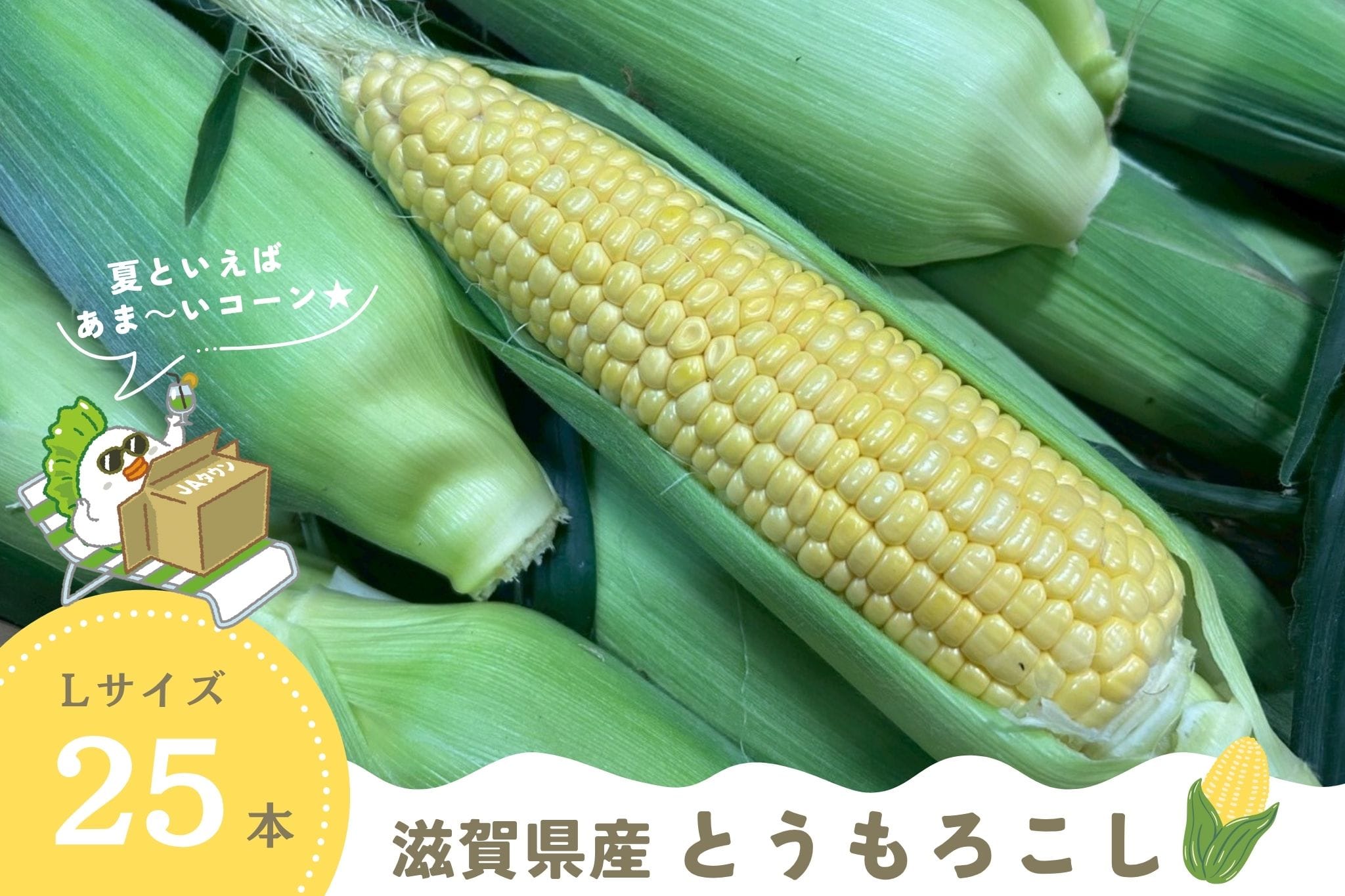 夏季限定】滋賀県産 とうもろこし 25本セット: 近江の味彩|【JA