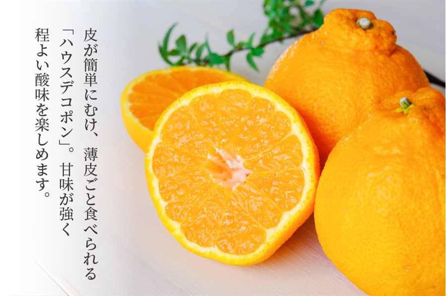 お歳暮】香川県産 ハウスデコポン 約3㎏: JAギフトセンターかがわ