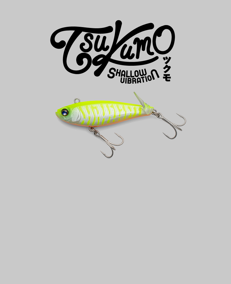 TSUKUMO 56/66 - SALT WATER 海釣り｜JACKALL｜ジャッカル｜ルアー