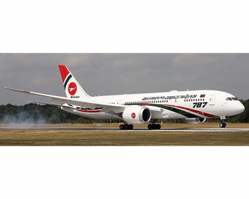 www.JetCollector.com: Air Japan B787-8 Flaps JA803A 1:400 Scale JC