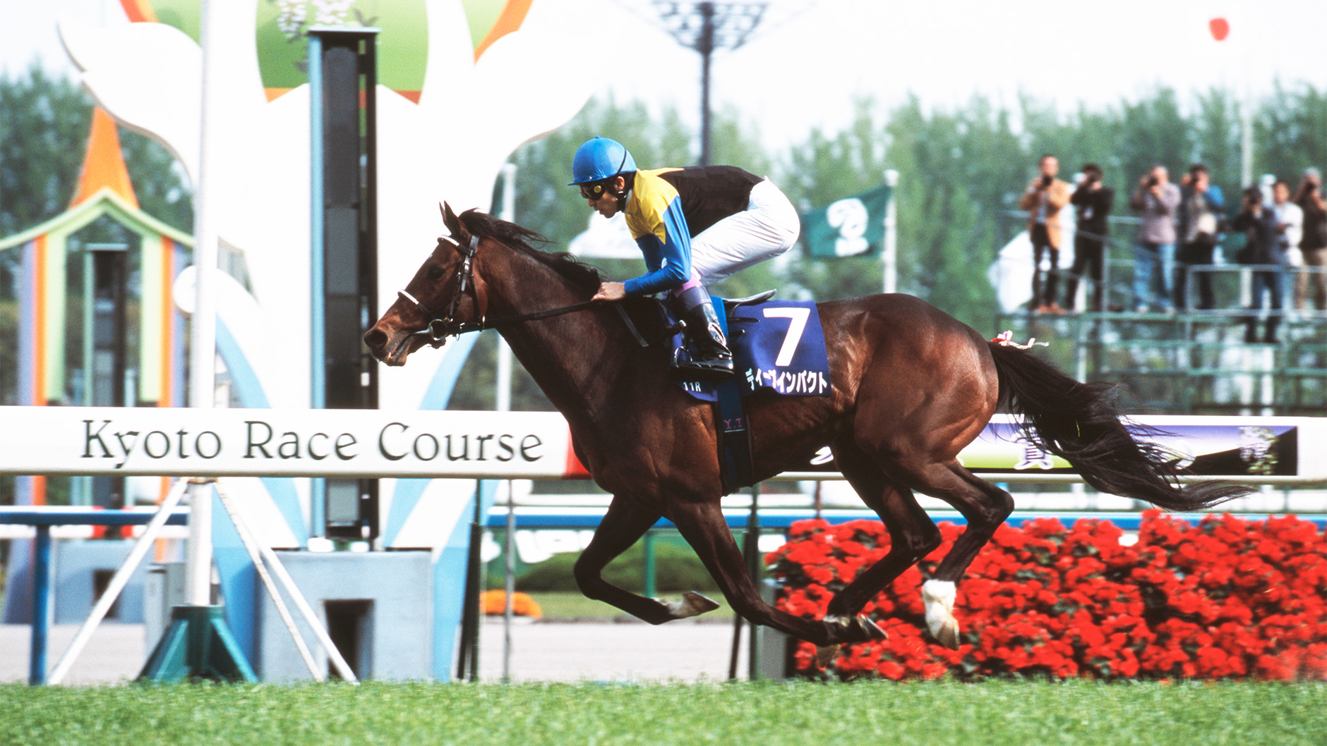 ◇ 競馬 JRA ◇ ディープインパクト ◇ リストバンド ◇ 3種類セット