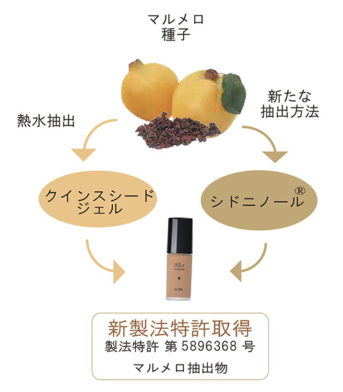 ナチュラルスィート ファンデーションS 14号（ライトブラウン