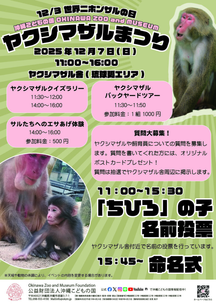世界ニホンザルの日「ヤクシマザルまつり」 | 沖縄こどもの国