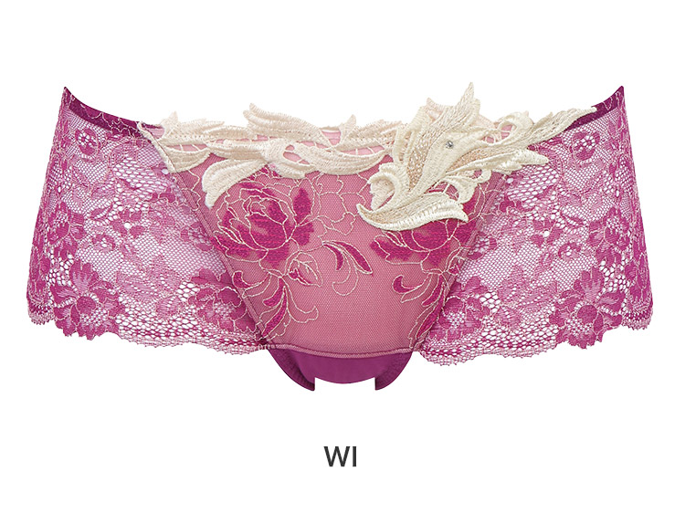 サルート29G ブラジャーG65 ボーイレングスショーツM 店舗限定商品