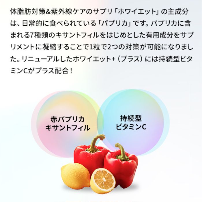 003300_sub05_LL.jpg