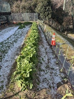 大津市立打出中学校