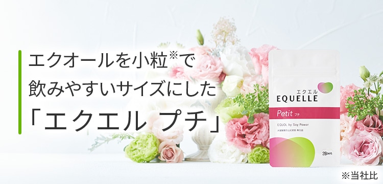 健康と美容をサポートする大塚製薬のエクエル エクエル プチについて