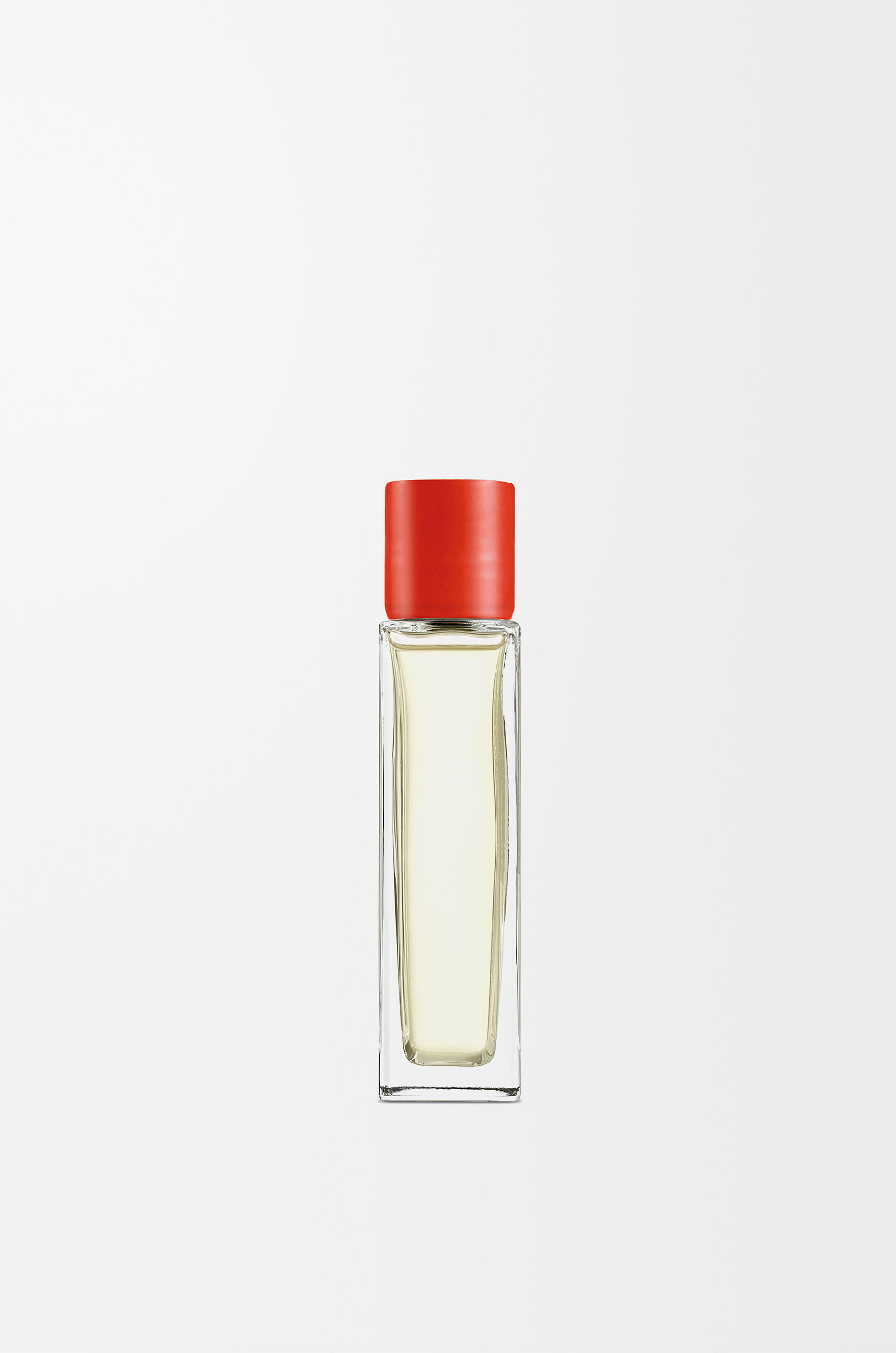 トマトリーフ ルームスプレー レッド - LOEWE Japan official website