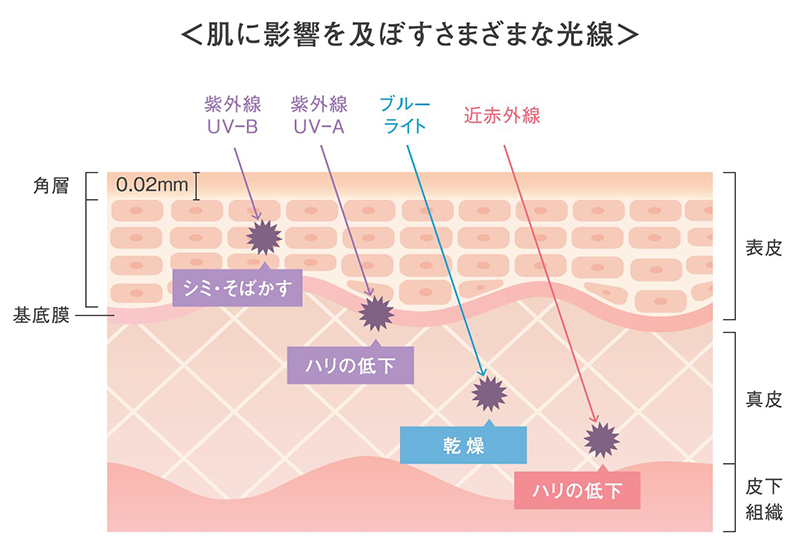 日焼け止め美容液 UVダーマテクトエッセンス｜フェース インシスト