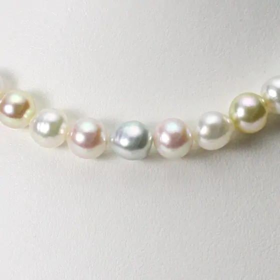 8.5mmアコヤ真珠マルチカラーネックレス | Moon Label - 大月真珠