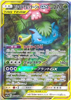 PSA10】 カメックス&ポッチャマGX 《SA》 (SR) {070/064} [SM11a