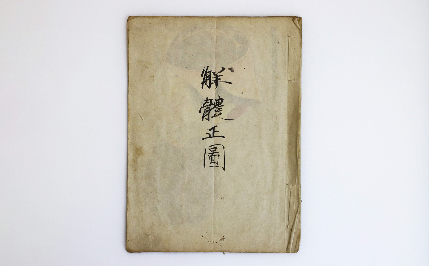 79_kaitai01.jpg