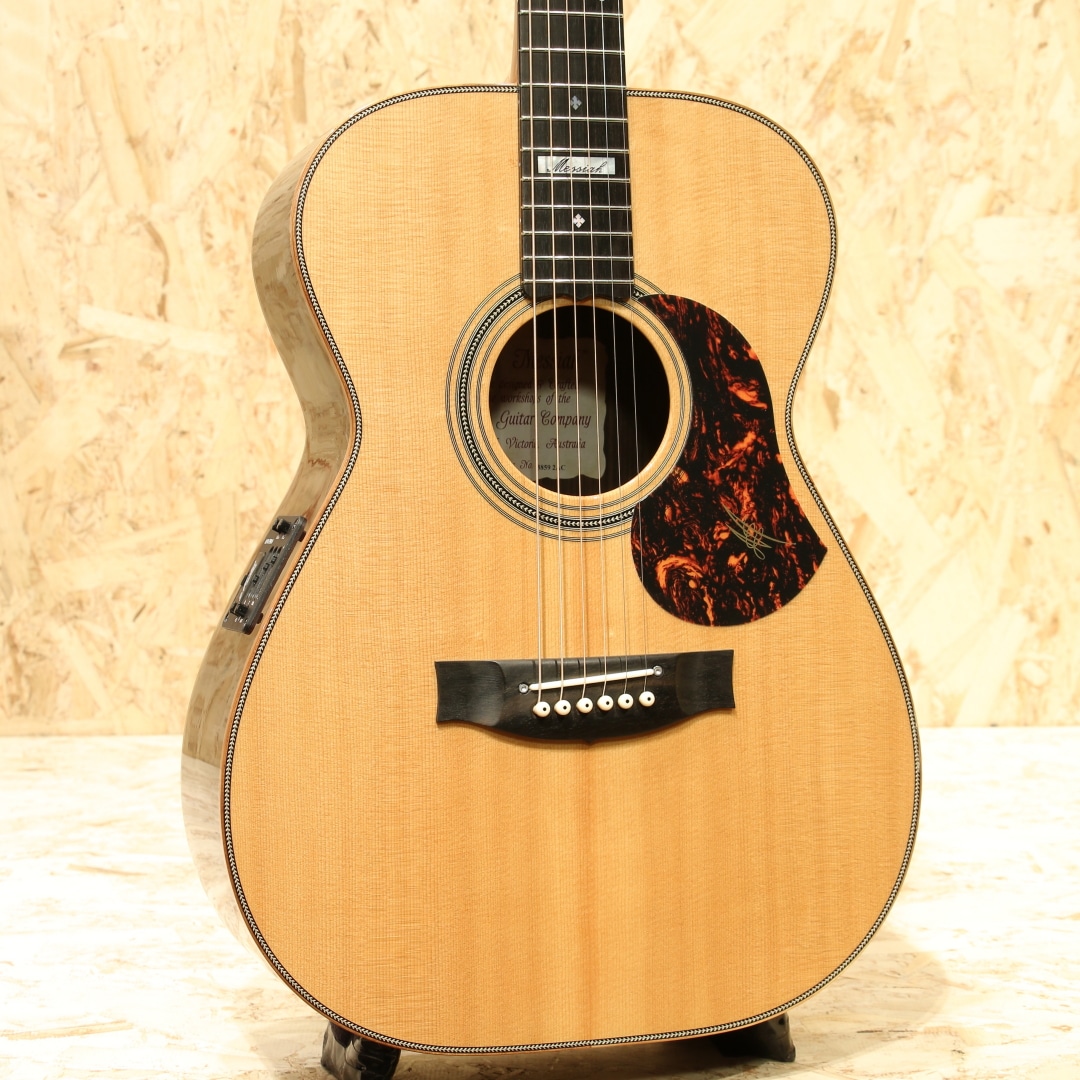 アコースティックギター輸入ブランド | 三木楽器公式通販サイト(並び順