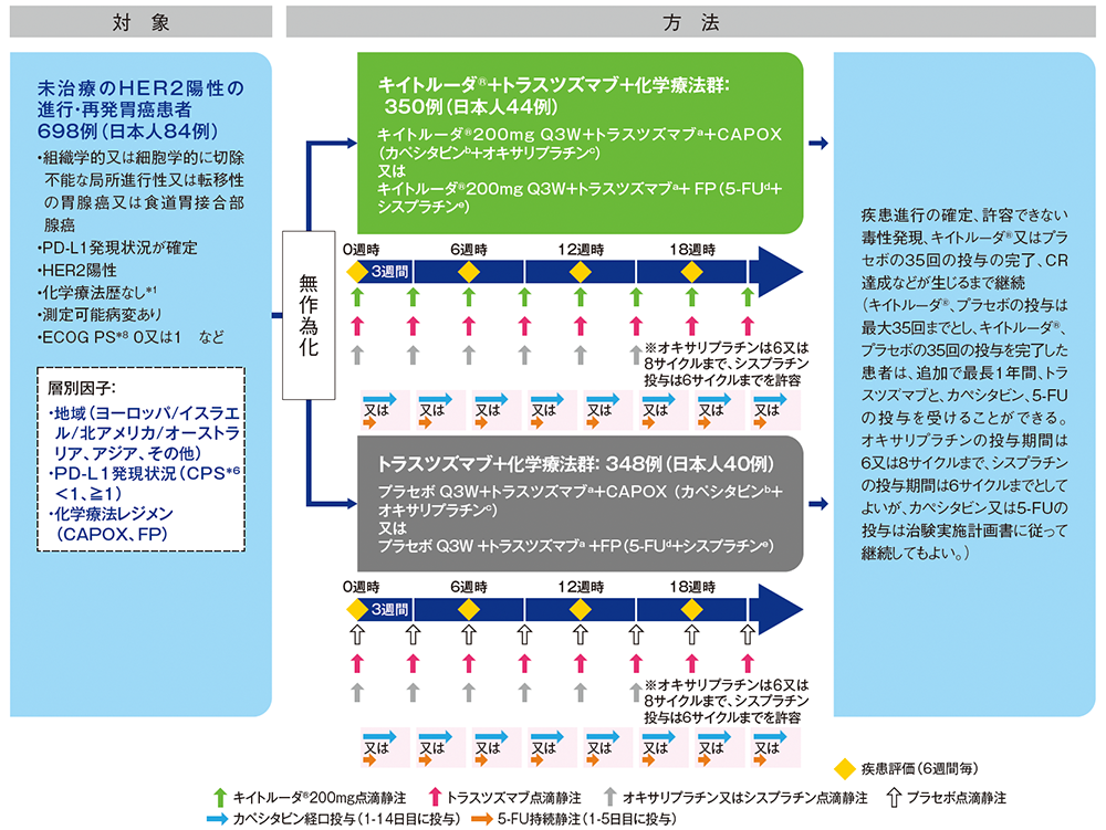 HER2陽性〉KEYNOTE-811試験 | 臨床成績 | キイトルーダ® 胃癌 | MSD