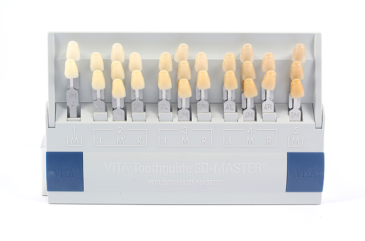 Vita ビタ シェードガイド3Dマスター29色-ホワイトニング関連用品