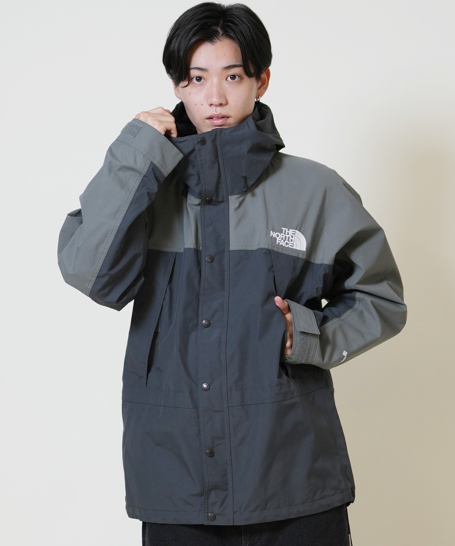THE NORTH FACE ザ・ノース・フェイス マウンテンパーカー メンズ GORE