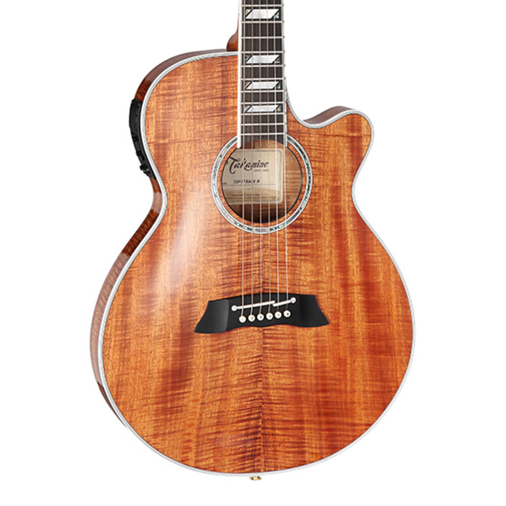 Takamine TSP178ACK N｜ミュージックランドKEY