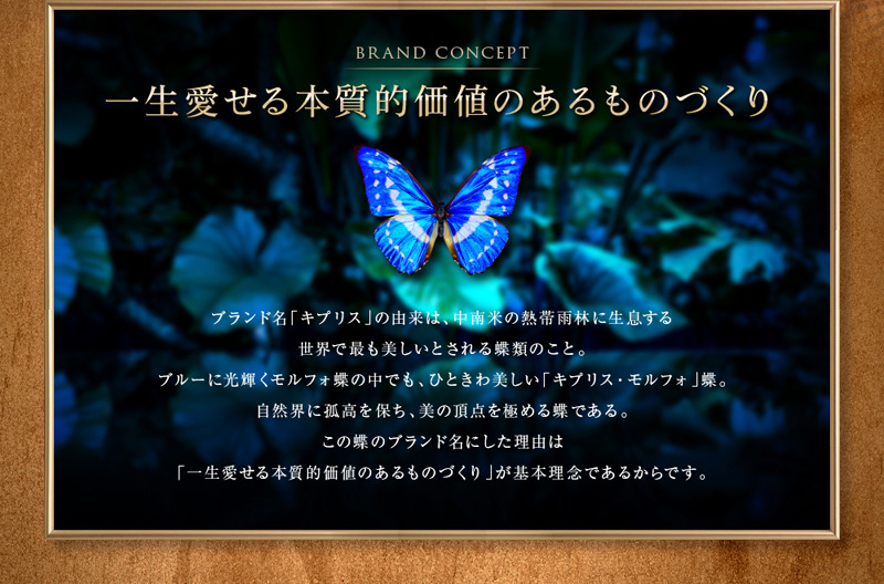 CYPRIS COLLECTION】二つ折り財布(カード札入・小銭入れなし)□艶