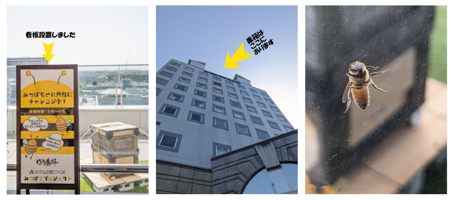 みつばちプロジェクト｜ホテル日航つくば【公式】