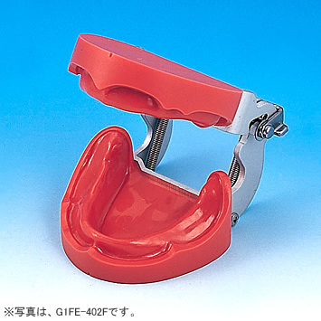 無歯顎補綴領域｜株式会社ニッシン｜歯科模型・歯科材料のトップ