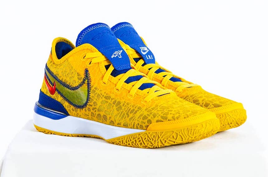 Titan x Nike Zoom LeBron NXXT Gen Titan Hoops Fair | SneakerFiles