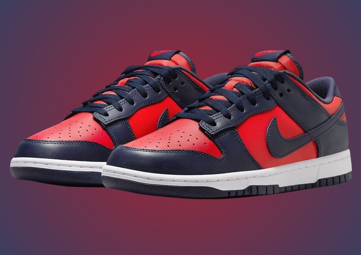 Nike Dunk Low CO.JP City Attack 2024 DV0833-601 | SneakerFiles