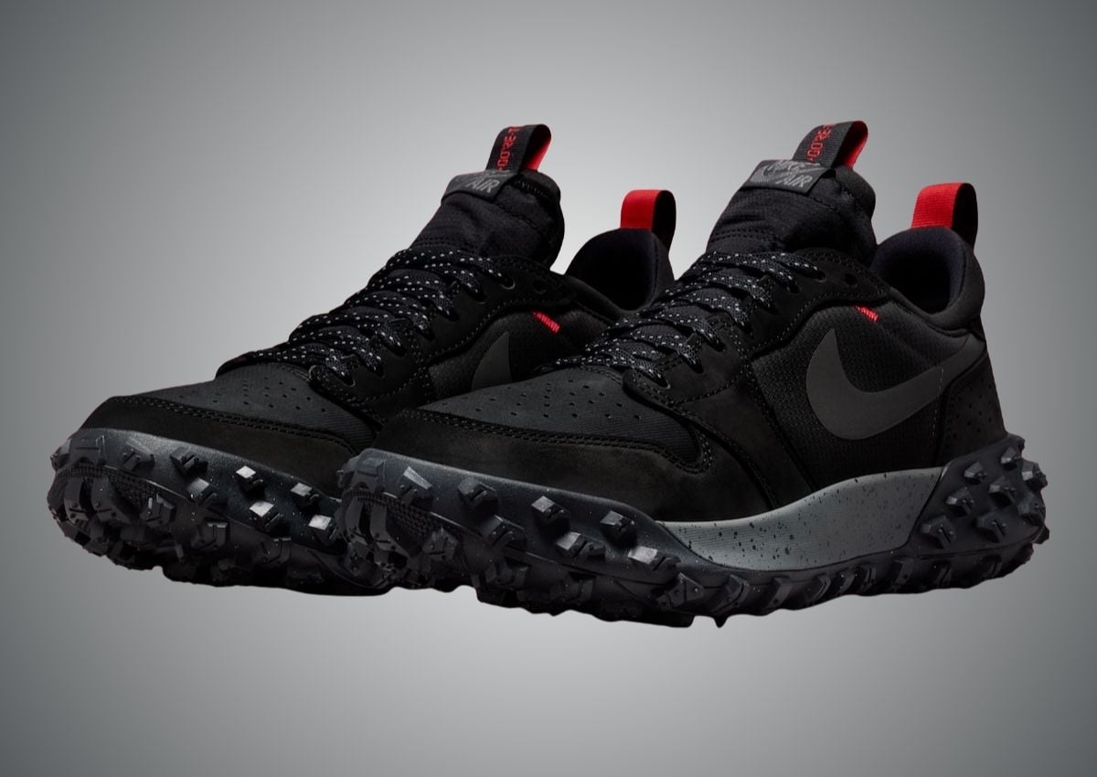 Air Jordan 1 Low Element Gore-Tex Black Iron Grey FV4227-002