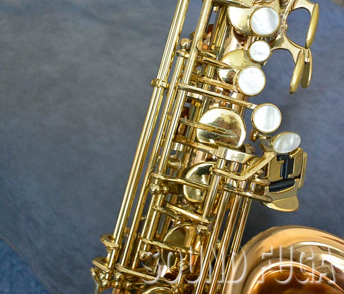 YANAGISAWA A-WO20 アルトサックス