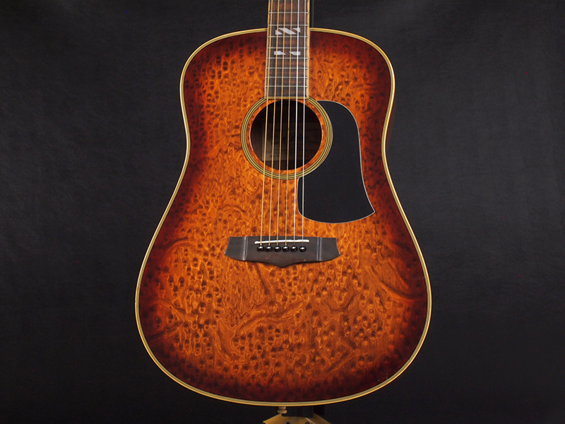 ARIA AW250 LTB/TBR 税込販売価格 ￥19,800- 中古 初心者にオススメの