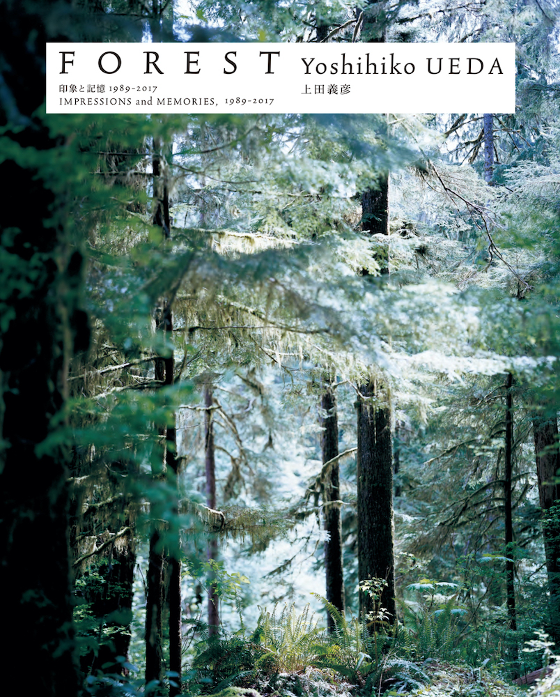 上田義彦写真集 FOREST 印象と記憶 1989-2017｜青幻舎 SEIGENSHA Art
