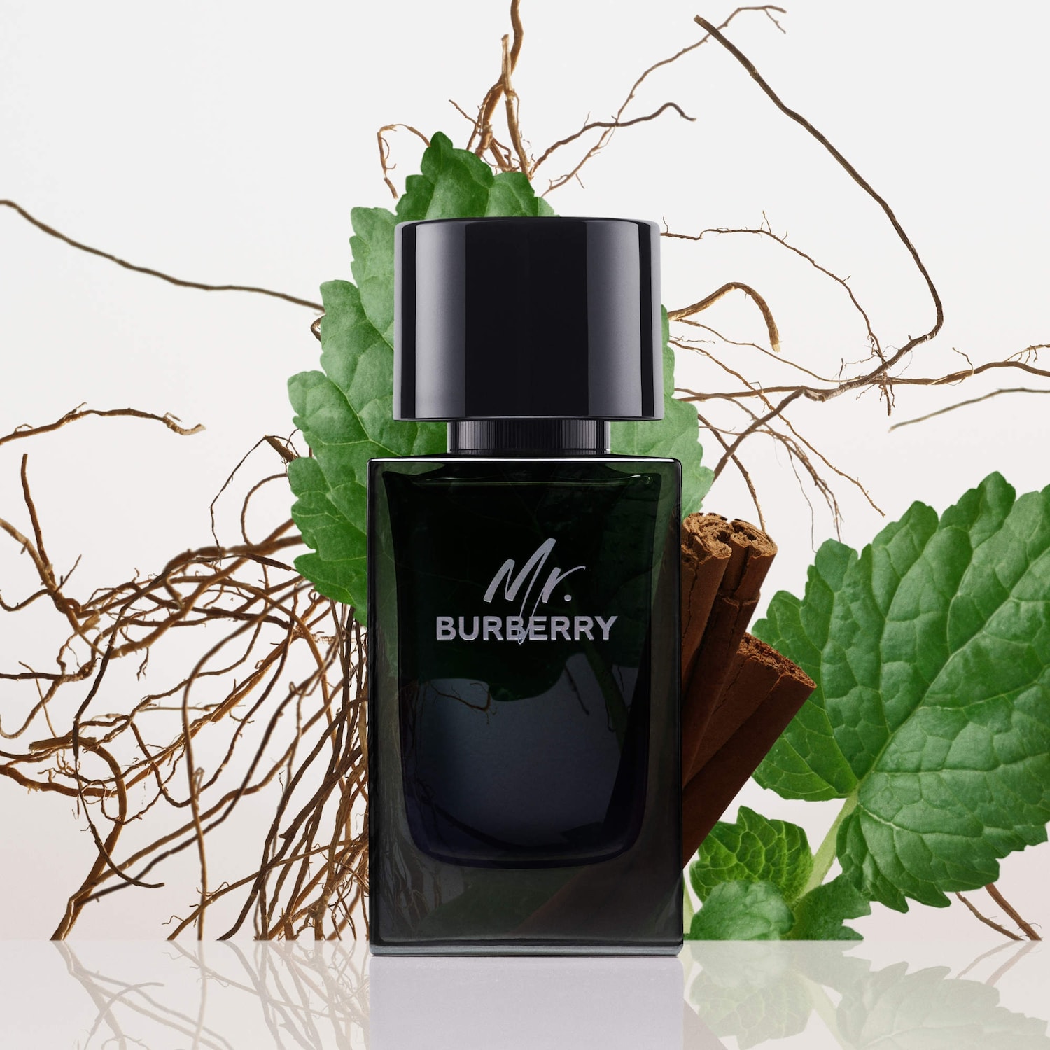 Mr. Burberry Eau de Parfum - BURBERRY | Sephora